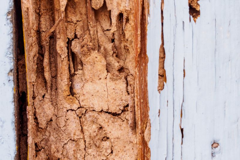 Wood Rot Repair For Decks, Porches, And Ramps